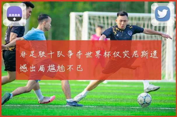 非足联十队争夺世界杯仅突尼斯遗憾出局尴尬不已